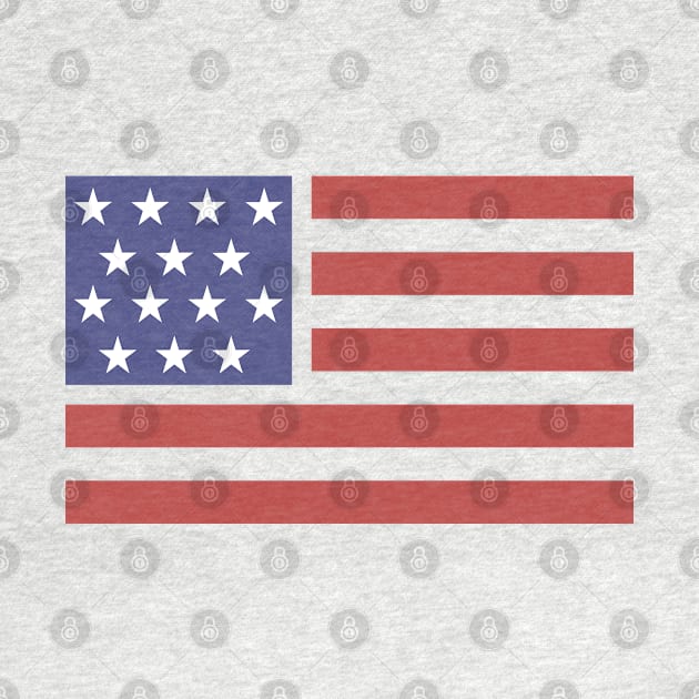 USA flag by ShirtyLife